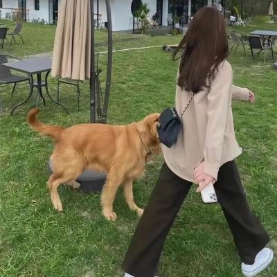 热烈之夏